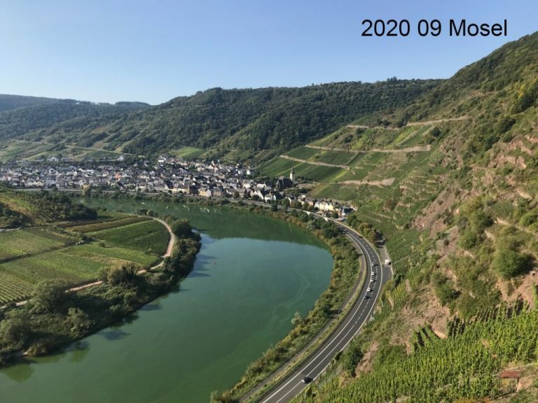 Mosel