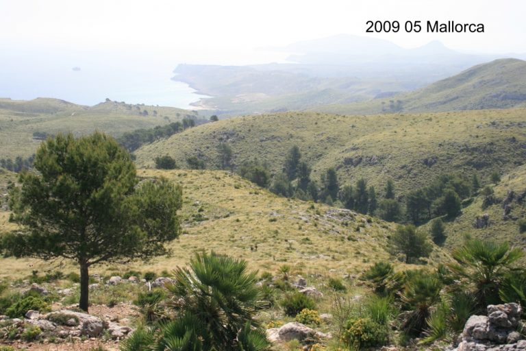 Mallorca