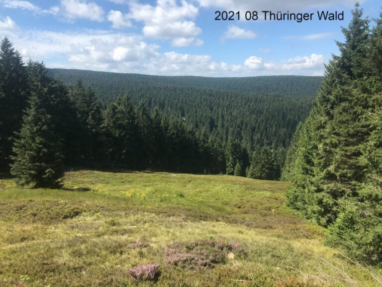 Thüringer Wald