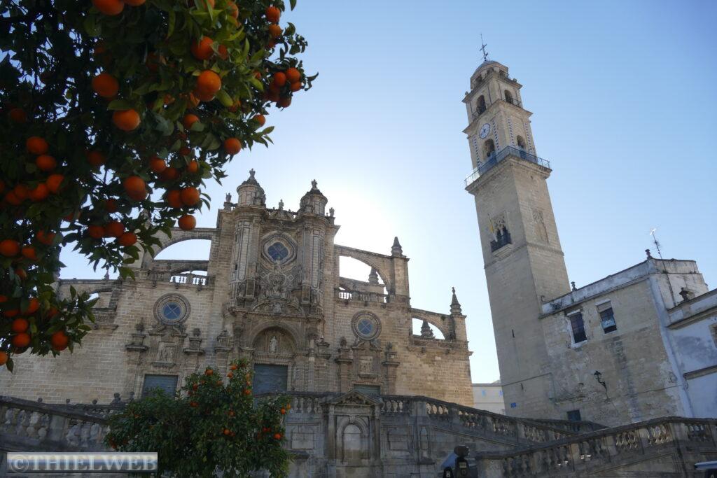 17.01.22 Jerez de la Frontera