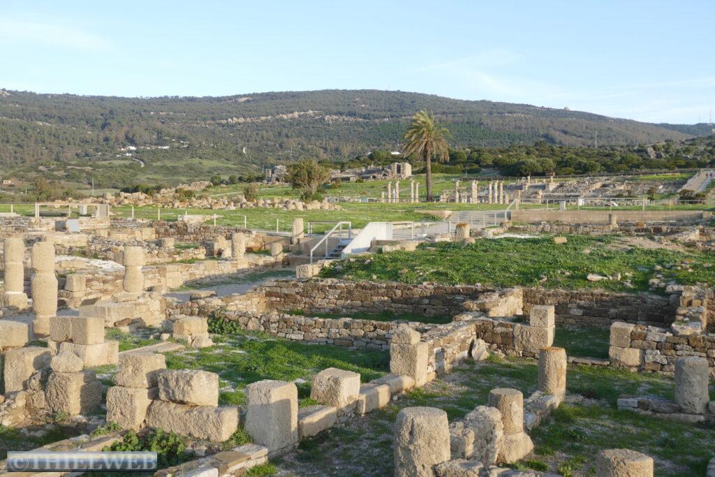 19.01.22 Bolonia / Gibraltar