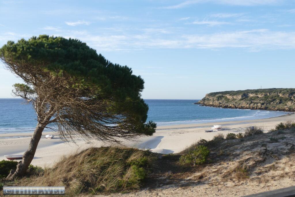 19.01.22 Bolonia / Gibraltar