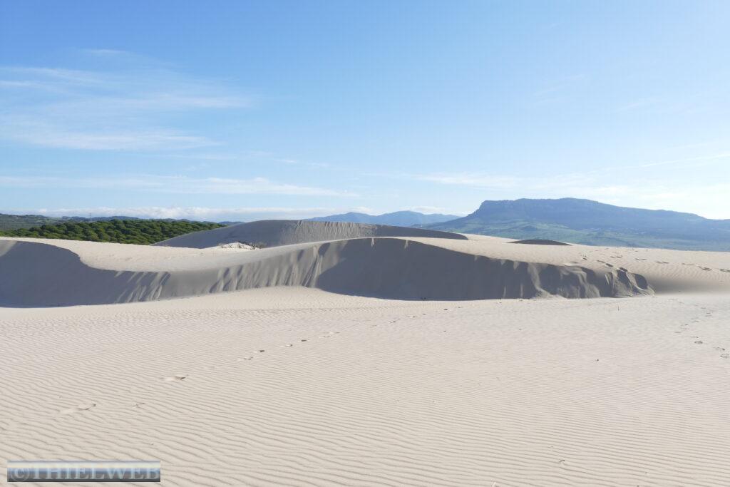 19.01.22 Bolonia / Gibraltar