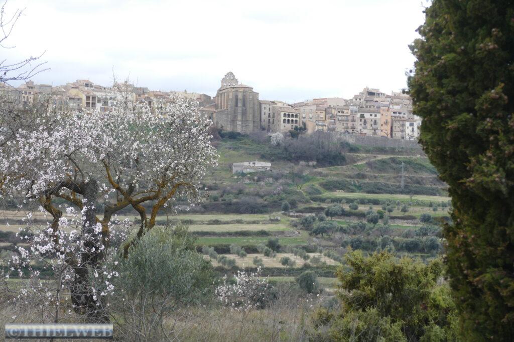 05.02.22 Horta de Sant Joan