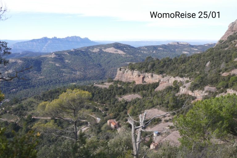 WomoReise 25/01