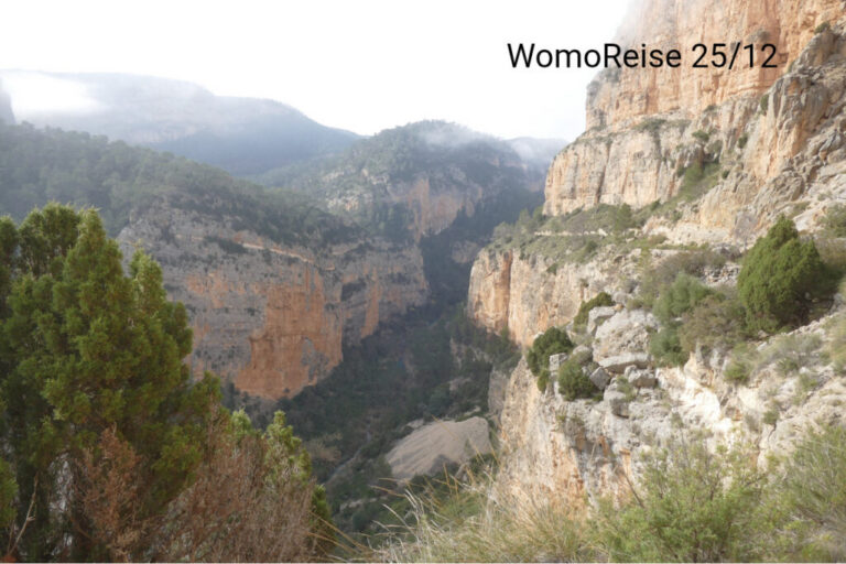 WomoReise 25/12