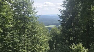Bilck auf Vesser