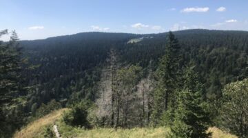 Blick vom Sachsenstein zur Schmücke 915 m