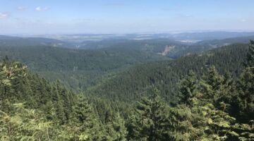 Richtung Nord (Harz)