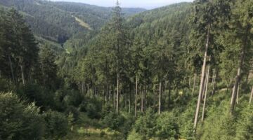 Blick zum kleinen Erleshügel