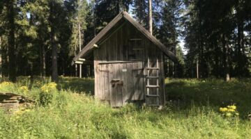 Unterhalb vom Finsterberger Köpfchen