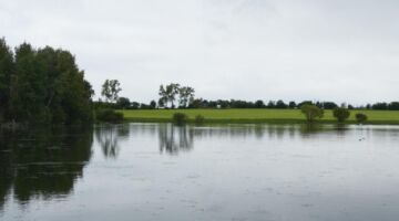 Plothener Teiche mit Stellplatz