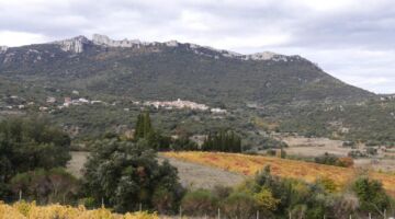 Peyrepertuse 02.11.21 Peyrepertuse
