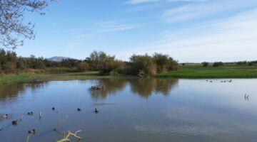 NP El Cortalet 04.11.21 Empuriabrava