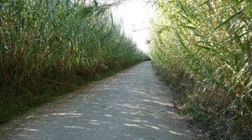 Wanderung 05.11.21 Empuriabrava