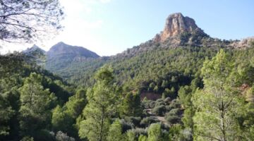 Wanderung 17.11.21 Prat de Comte