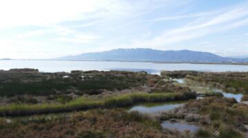 L´Ebre Delta 21.11.21 Sant Jaume d’Enveja