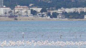 Illa de Mar 22.11.21 Sant Jaume d’Enveja