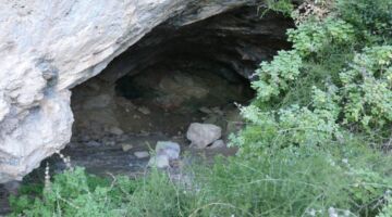 Cava de Patricio 01.12.21 Simat de la Valldigna