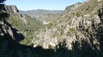 Barranc de L´Encanta 04.12.21 Planes