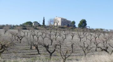 Obstplantage 14.12.21 Mula