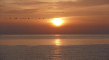 Playa Carolina 21.12.21 Vera Playa