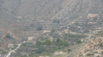 alte Mühlen 23.12.21 Níjar