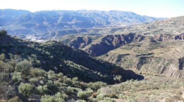 Vereda de Ragol 30.12.21 Canjáyar