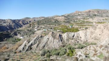 Baranco 31.12.21 Canjáyar