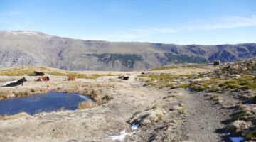 Hochalm 02.01.22 Trevélez