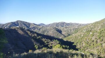 Wanderung Venta Cebolleros 06.01.22 Frigiliana