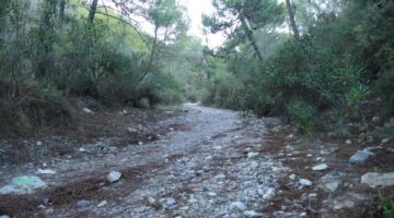 Barranco von Acebuchal 06.01.22 Frigiliana