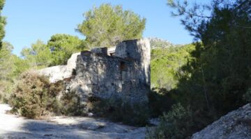 Venta Cebolleros 06.01.22 Frigiliana