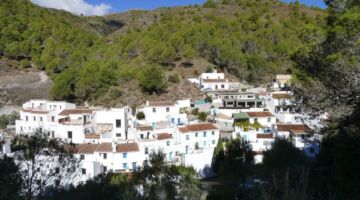 El Acebuchal 06.01.22 Frigiliana