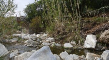 Barranco Blanco 11.01.22 Coín