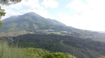 Sierra de Mijas 11.01.22 Coín