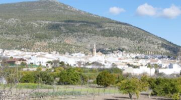 13.01.22 Algodonales