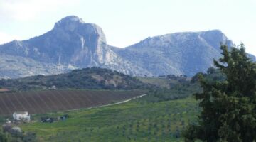 13.01.22 Algodonales