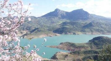 14.01.22 Algodonales