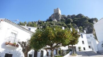 14.01.22 Algodonales