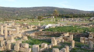 Ruinen von Baelo Claudia 19.01.22 Bolonia / Gibraltar