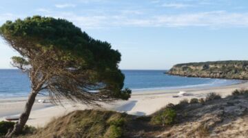 Playa Bolonia 19.01.22 Bolonia / Gibraltar