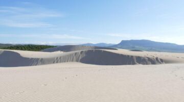 Wanderdüne Bolonia 19.01.22 Bolonia / Gibraltar