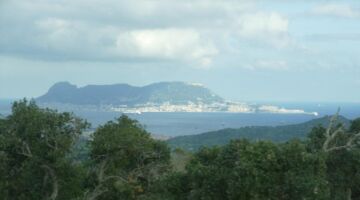 Gibraltar 19.01.22 Bolonia / Gibraltar