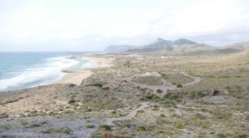 Punta Negra 26.01.22 Cabo de Palos