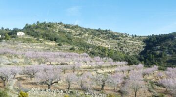 Fahrt nach Culla 03.02.22 Culla