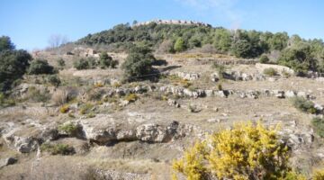 Wanderung Mas d´en Domingos 03.02.22 Culla