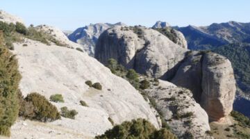 1017 m 06.02.22 Roques de Benet