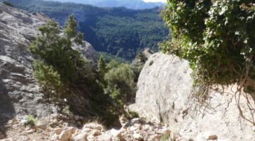 Abstieg 06.02.22 Roques de Benet