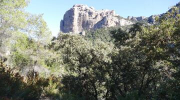 06.02.22 Roques de Benet